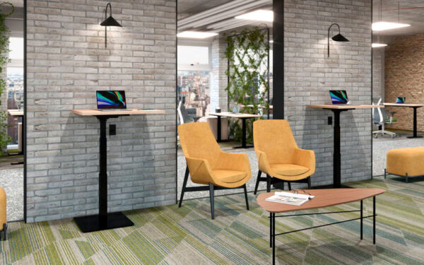 Ascend Individual
